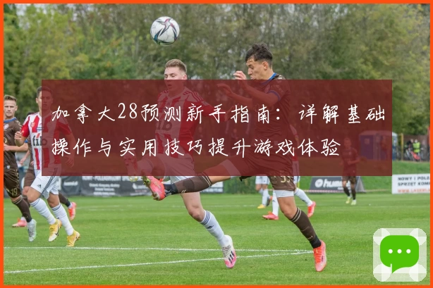 加拿大28预测新手指南：详解基础操作与实用技巧提升游戏体验