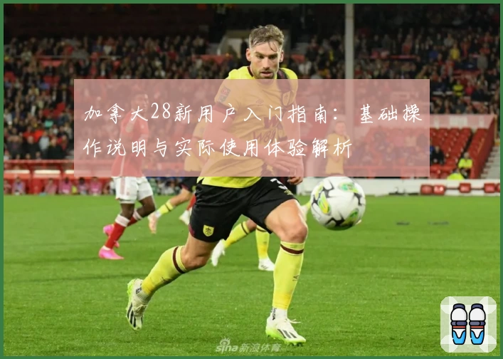 加拿大28新用户入门指南：基础操作说明与实际使用体验解析