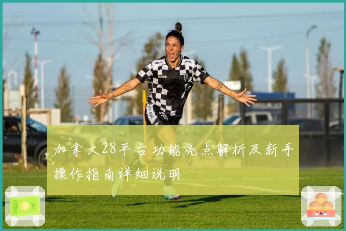 加拿大28平台功能亮点解析及新手操作指南详细说明