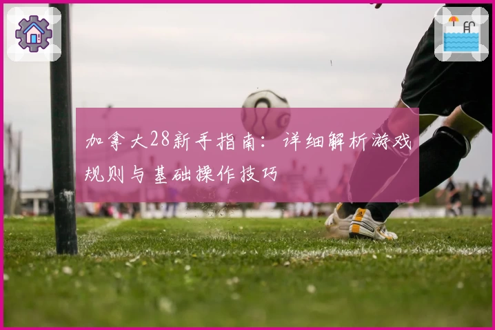 加拿大28新手指南：详细解析游戏规则与基础操作技巧