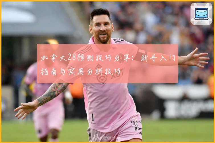 加拿大28预测技巧分享：新手入门指南与实用分析技巧