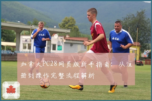 加拿大PC28网页版新手指南：从注册到操作完整流程解析