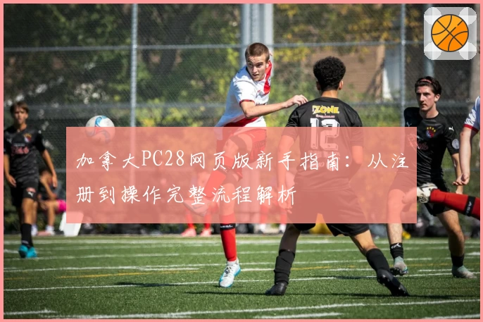 加拿大PC28网页版新手指南：从注册到操作完整流程解析