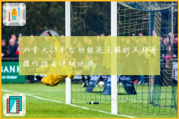 加拿大28平台功能亮点解析及新手操作指南详细说明