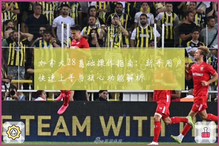 加拿大28基础操作指南：新手用户快速上手与核心功能解析