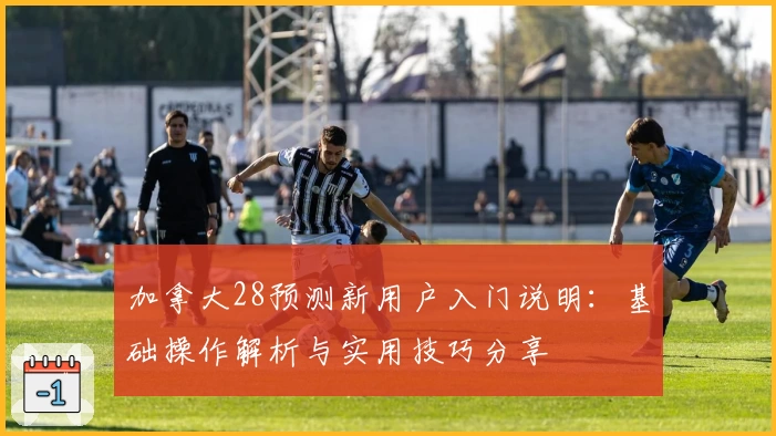 加拿大28预测新用户入门说明：基础操作解析与实用技巧分享