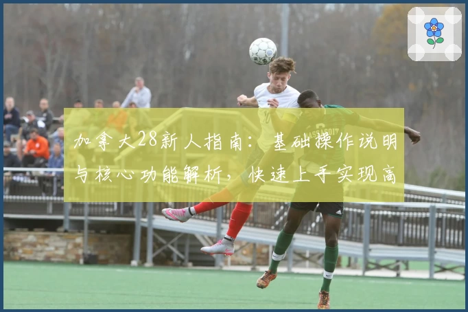 加拿大28新人指南:基础操作说明与核心功能解析,快速上手实现高效使用