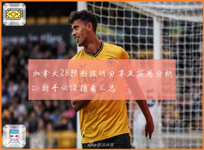 加拿大28预测技巧分享及实用分析：新手必读指南汇总