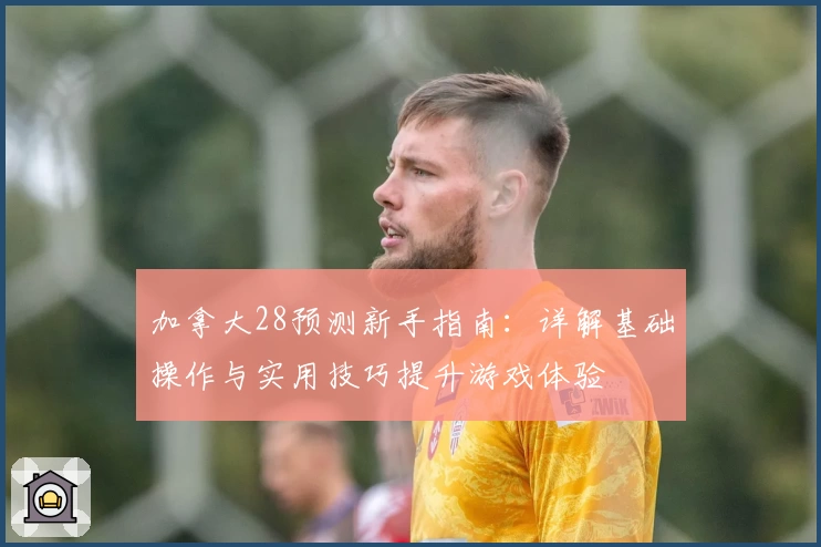 加拿大28预测新手指南：详解基础操作与实用技巧提升游戏体验