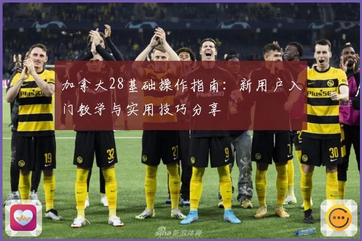 加拿大28基础操作指南：新用户入门教学与实用技巧分享