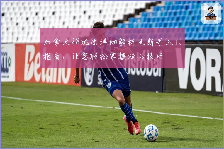 加拿大28玩法详细解析及新手入门指南，让您轻松掌握核心技巧
