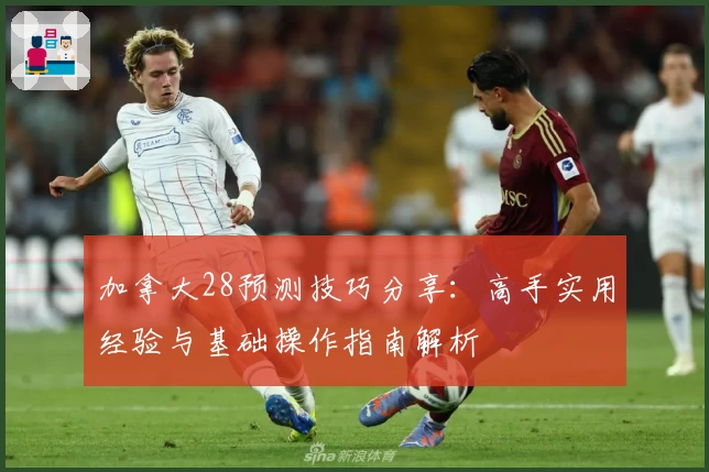 加拿大28预测技巧分享:高手实用经验与基础操作指南解析