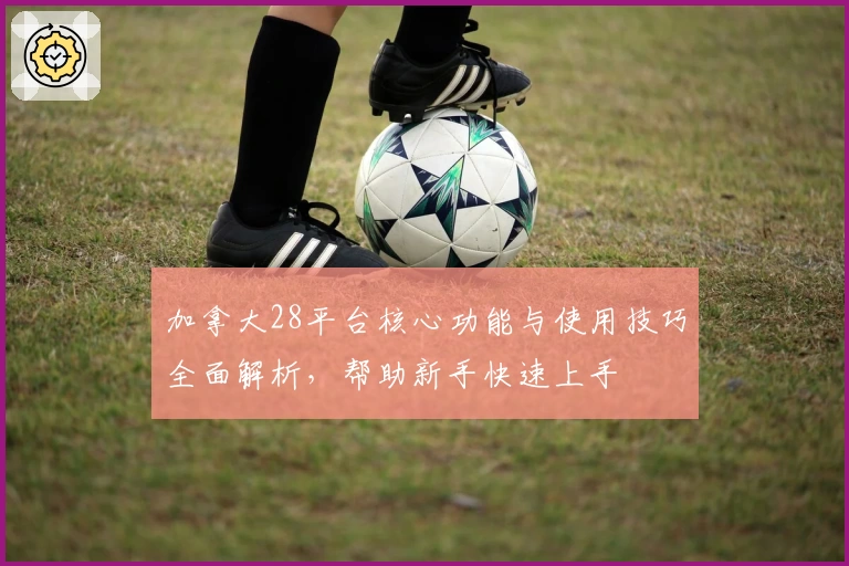 加拿大28平台核心功能与使用技巧全面解析,帮助新手快速上手