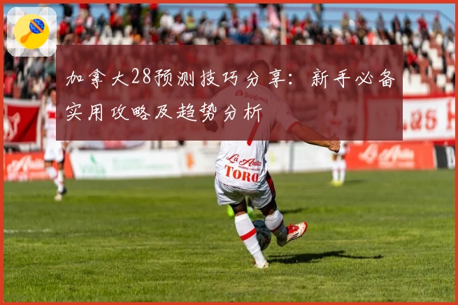 加拿大28预测技巧分享：新手必备实用攻略及趋势分析