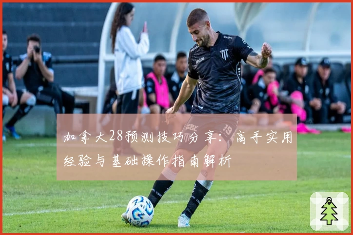加拿大28预测技巧分享：高手实用经验与基础操作指南解析