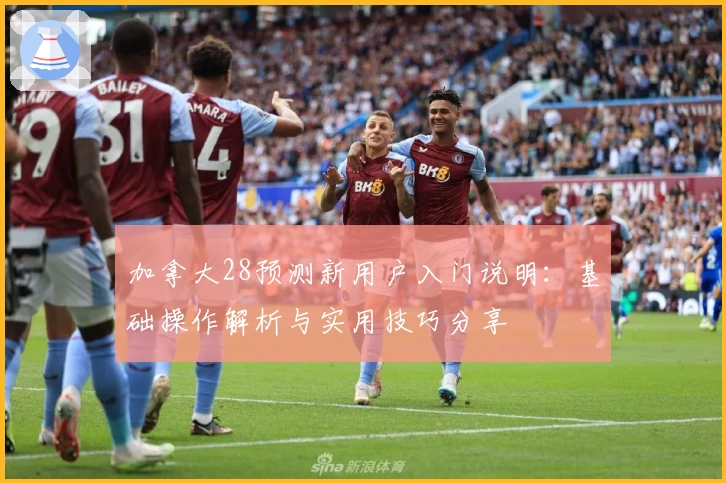 加拿大28预测新用户入门说明：基础操作解析与实用技巧分享